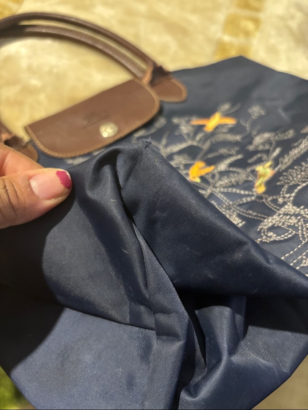 Longchamp Limitee Edition Embroidered Tote Bag - Picture 7 of 12